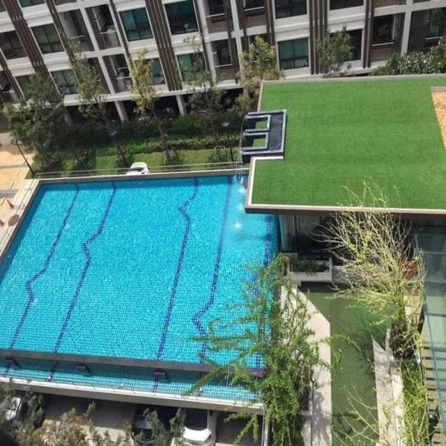รูป ให้เช่า คอนโด Supalai City Resort รัชโยธิน - พหลโยธิน 32 ห้องใหม่ไม่เคยเข้าอยู่ วิวสระว่ายน้ำ ID-10896 6