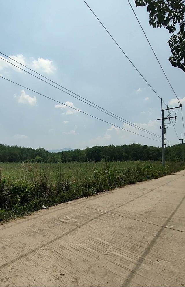 ต้องการแบ่งขาย 5 ไร่คะ ไร่ละ 350,000 เป็นที่มีโฉนดอยู่ด้านหลัง อบต. ห่างจาก อบต.ปลาบ่า 500 เมตร มีน้ำประปา และไฟฟ้า ถนนคอนกรีต ค่าโอนคนละครึ่ง ด้า 4