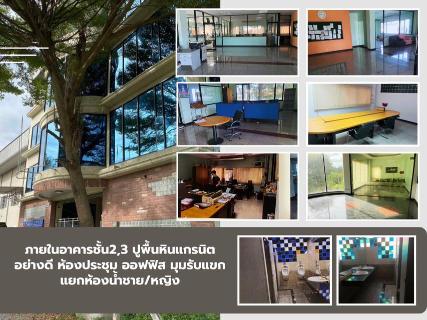 ขายที่ดินพร้อมอาคารสำนักงาน ออฟฟิส และโกดังพร้อมใช้ พื้นที่ใช้งานกว่า1,822ตรม. 4