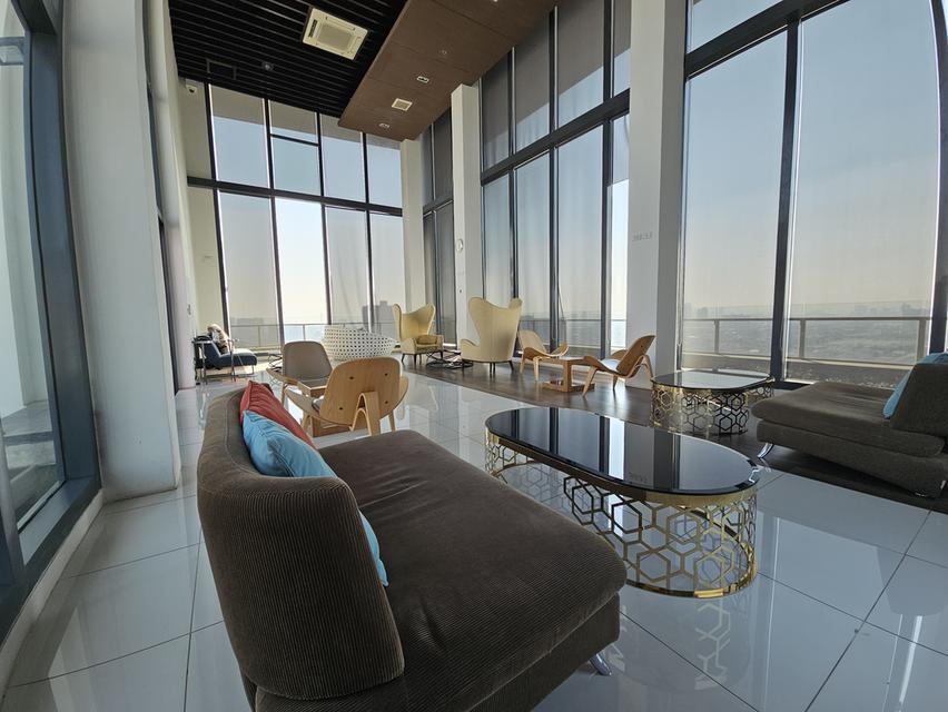 THE HOTEL CONDO  19