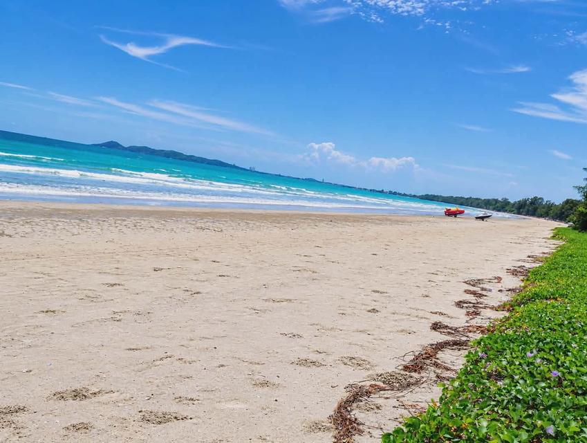 ขายที่ดิน ใกล้ทะเล หาดสวนสน 6