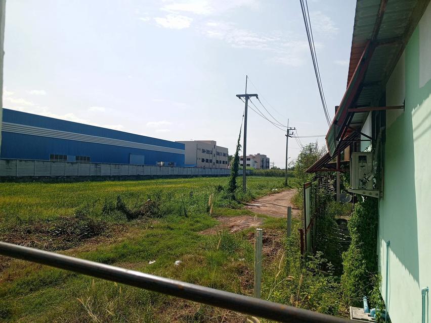 ขายที่ดินพร้อมสิ่งปลูกสร้าง เนื้อที่ 2 ไร่ ตรงข้ามโรงงานทิปโก้วังน้อย ทำเลดีมาก 11
