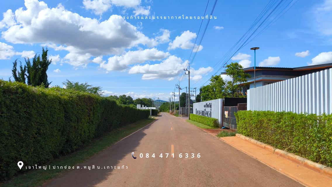 เขาใหญ่ | ปากช่อง โซนหมูสี *ด้านหลังติดเขา* ใกล้ MADAME VALLEY(มาดามแป้ง) เนื้อที่ 4-3-69 ไร่ ราคา 3.5 ล้าน/ไร่ 8