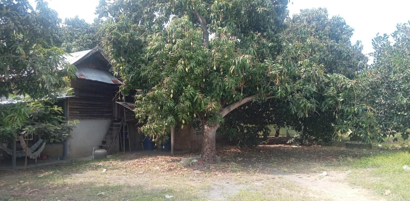 ขายที่ดินในหมู่บ้าน 5