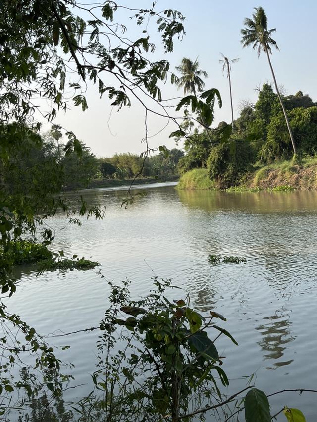 ขายที่ดินติดริมแม่น้ำท่าจีน 742 ตรว. 2
