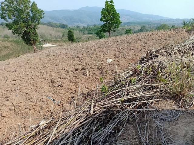 พื้นที่ดิน ที่ดิน ต.ปอน อ.ทุ่งช้าง จ.น่าน พ.ท. 408 RAI 1 NGAN 3 ตร.ว. 73400000 บาท โครตคุ้ม น่าน 6