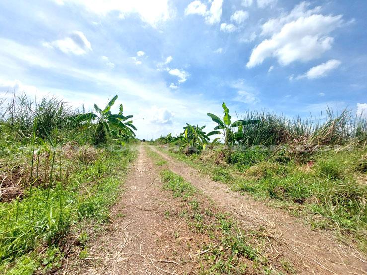 ที่ดินจัดสรรล็อคที่ 18 ถ.346 ต.หน้าไม้ อ.ลาดหลุมแก้ว จ.ปทุมธานี 5