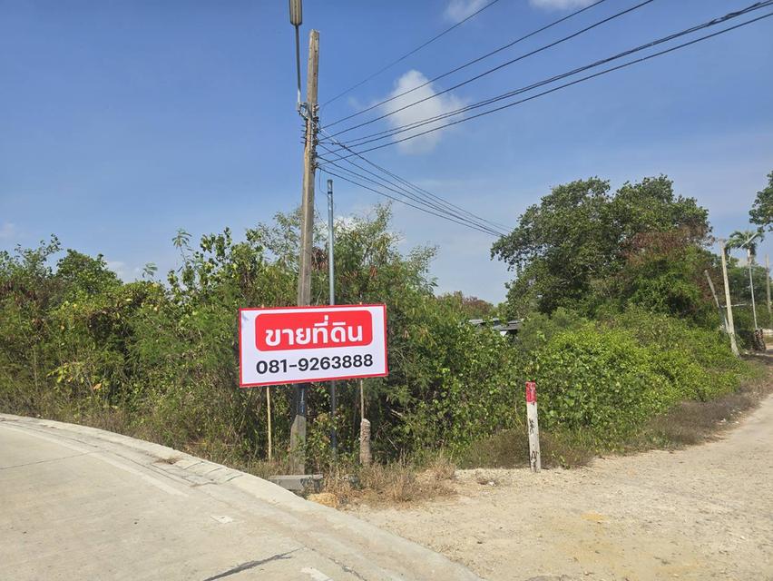 ที่ดิน มาบตาพุด ใกล้ทะเลเพียง 200 ม. 2