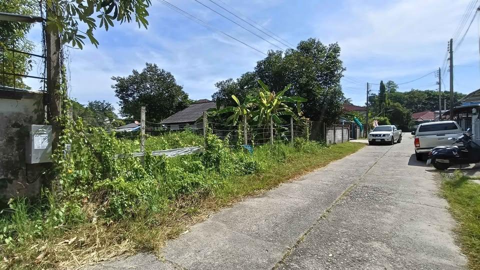 ขายที่ดินเปล่า ถมแล้ว 200 ตร.วา ใกล้วงแหวนรอบ 3 – แยกหลุยส์เครื่องเงิน ต.สันกลาง อ.สันกำแพง จ.เชียงใหม่ 4