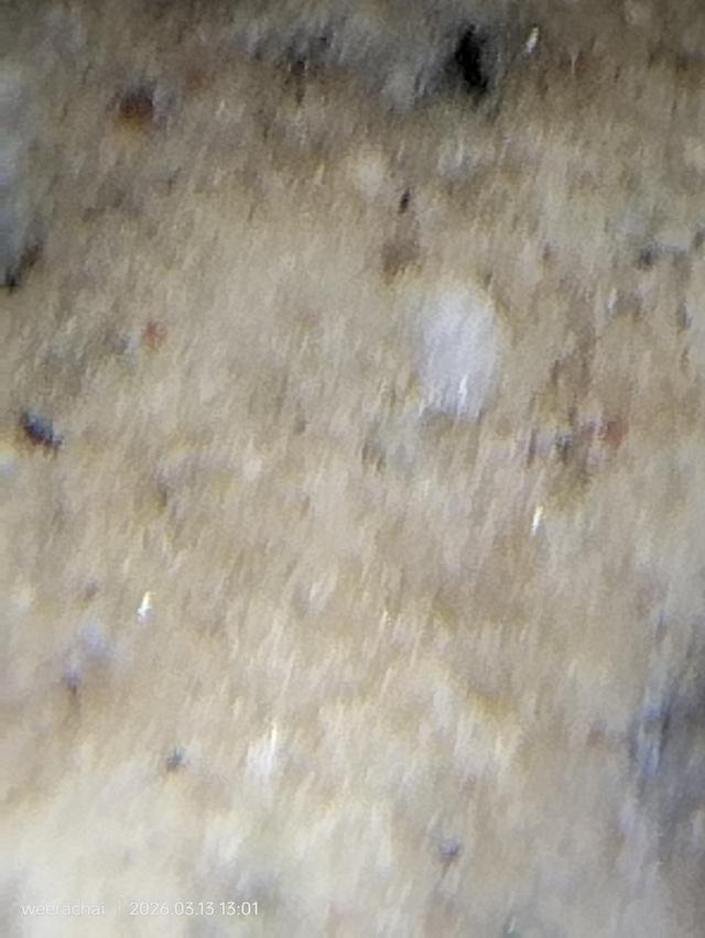 พระสมเด็จวัดระฆังพิมพ์ใหญ่มาตรฐานสากลนิยม รูปที่ 10