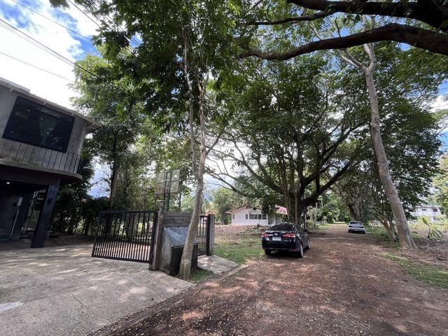 ขายที่ดิน 5 ไร่พร้อมบ้าน 3 หลัง  เจ้าของขายเอง กาฬสินธุ์  19