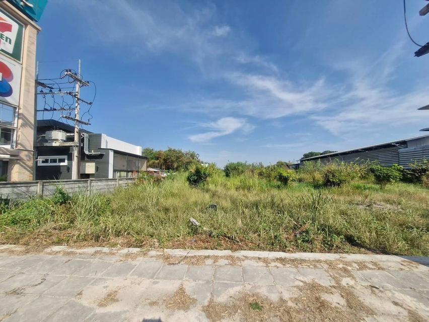 ขายที่ดินเปล่าติดถนนสุขุมวิทบางเสร่ - พัทยา 1