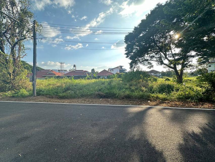 ขายที่ดินโซนด้านหลังโรงเรียนวารีเชียงใหม่ เดินทางสะดวก เข้า-ออกได้หลายทาง บรรยากาศร่มรื่น เงียบสงบ เพียงตารางวาละ 24,725 บาท 8