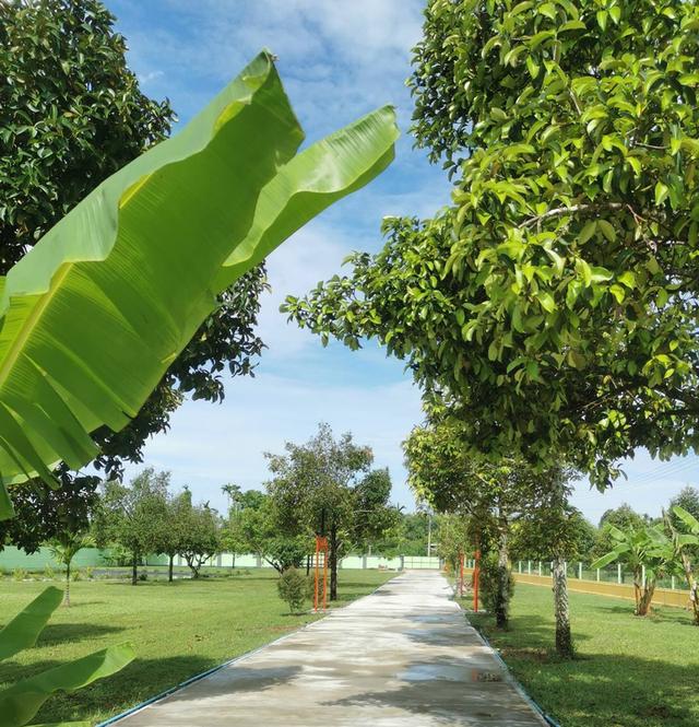 ขายบ้านเดี่ยวสไตร์ยุโรป 2 ห้องนอน ในทำเล คลองปูน แกลง, ระยอง 4