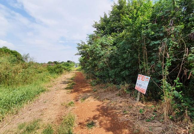 ขายที่ดิน ถนนฤชุพันธ์(บางบัวทอง-สุพรรณบุรี) ตำบลไทรใหญ่ อำเภอไทรน้อย นนทบุรี 4