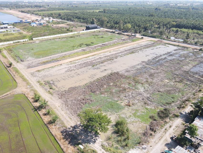 ที่ดินสวยทำเลดี ซ.พนารัตน์ ตำบล บึงบา อำเภอ หนองเสือ ปทุมธานี 5