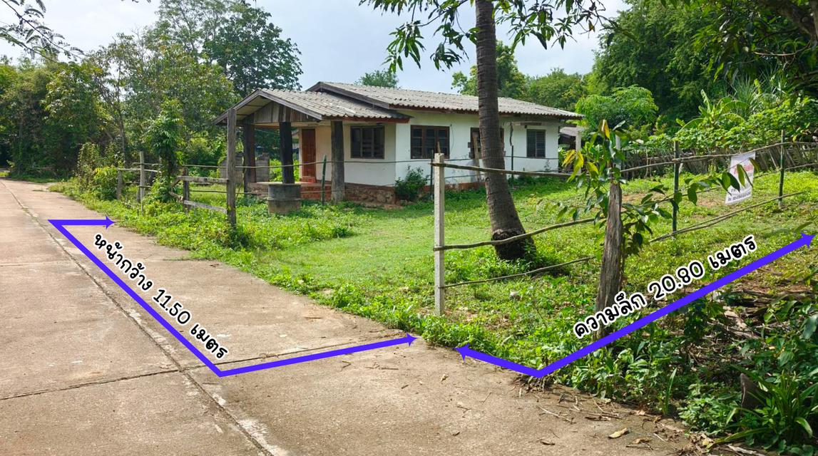 ขายที่ดินว่างเปล่า 53 ตร.วา ต.บ้านเสด็จ อ.เมืองลำปาง