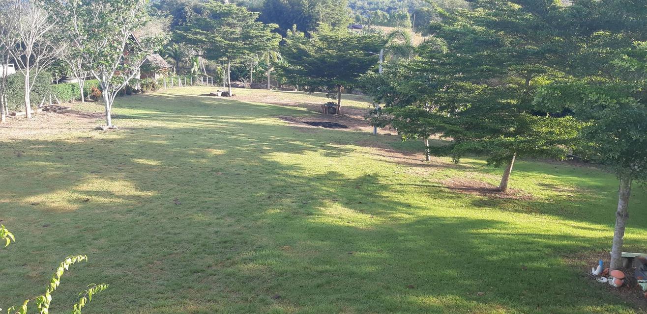 ที่ดิน พร้อมสิ่งปลูกสร้าง