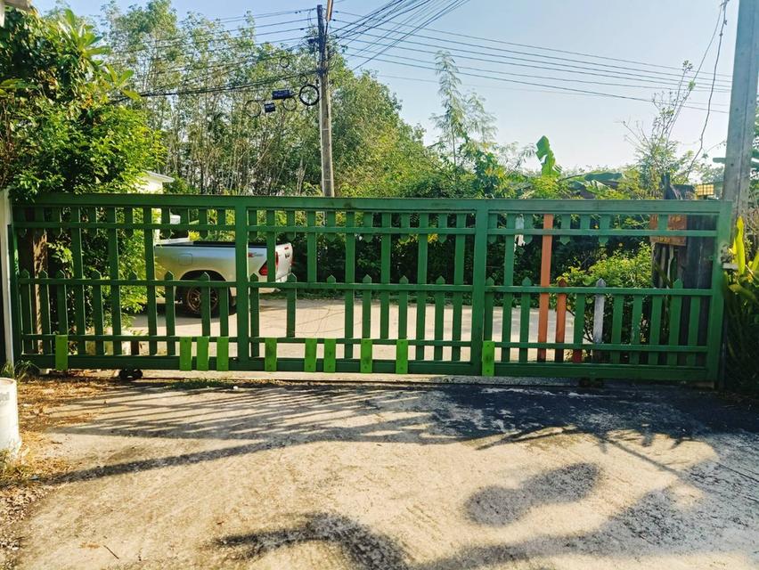 ที่ดินพร้อมอาคาร ห้องแถว โกดังเก็บของ 17