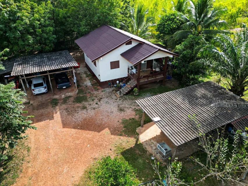 ที่ดินบ้านสวน บ้านท่าม่วง หนองลาด สกลนคร 3