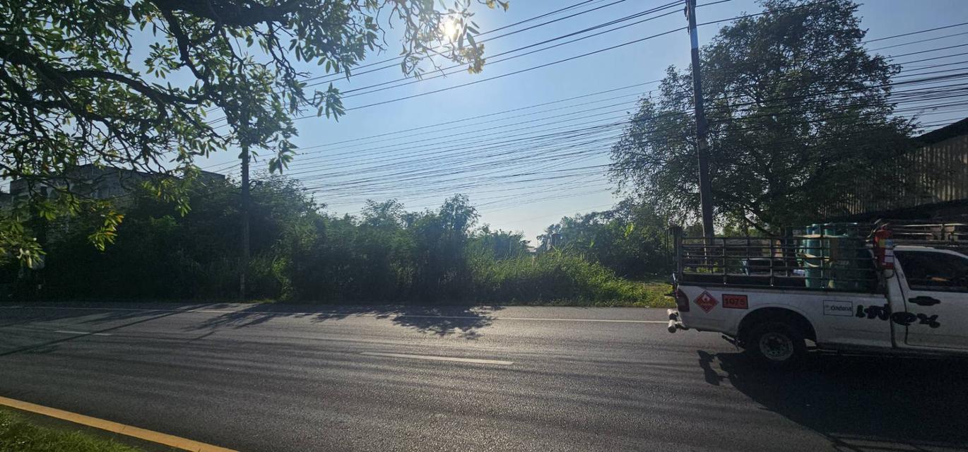 ที่ดิน 4ไร่ 1งาน 33ตารางวา 3