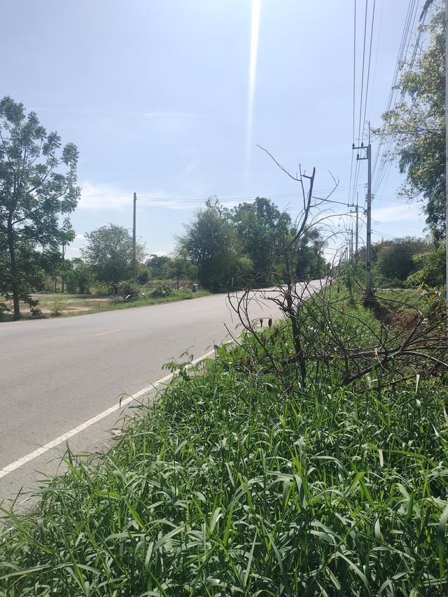 ที่ดิน 26 ไร่ ใกล้วัดหนองสังข์ทอง ติดถนน 2 ด้าน สามชุก 1