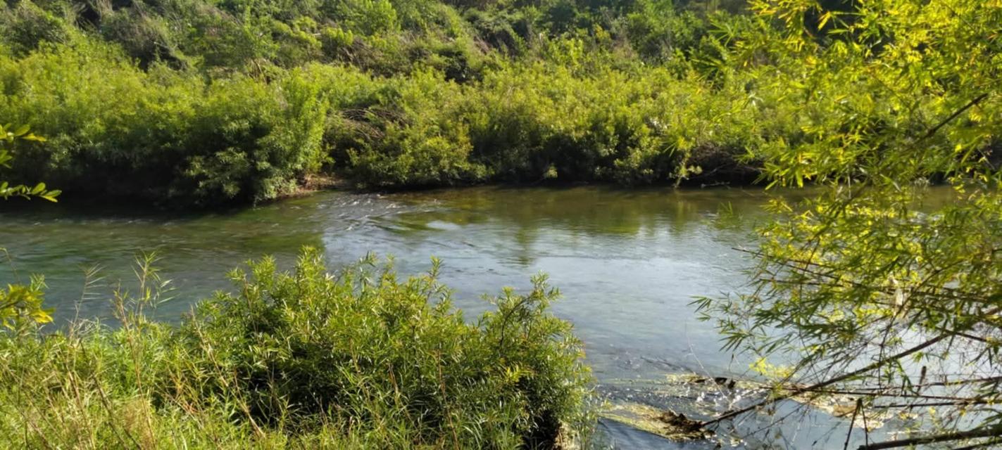 ที่โฉนดติดแม่น้ำวังพื้นที่ 5ไร่2งาน69ตรว.1.9 ล้านบาท (ฟรีโอน)ด้านในบริเวณที่ดินปลูกไม้สัก ลำไย มะม่วงที่ดินมี2ระดับชั้น ชั้นบนจะอยู่ระดับเดียวกับถน 13