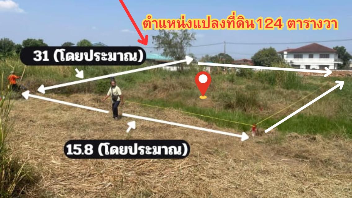 ขายที่ดิน รังสิต–คลองสอง ซอยบงกช 38 เนื้อที่ 124 ตารางวา 2