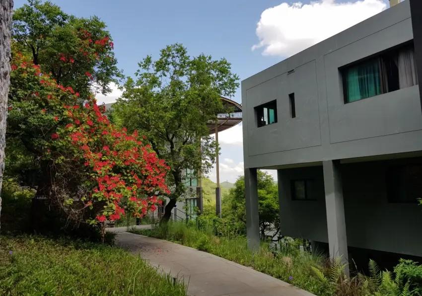 ขาย คอนโด 360 PANO เขาใหญ่ นครราชสีมา บรรยากาศดี วิวสวย ห้อง studio จำนวน 2 ห้อง 10