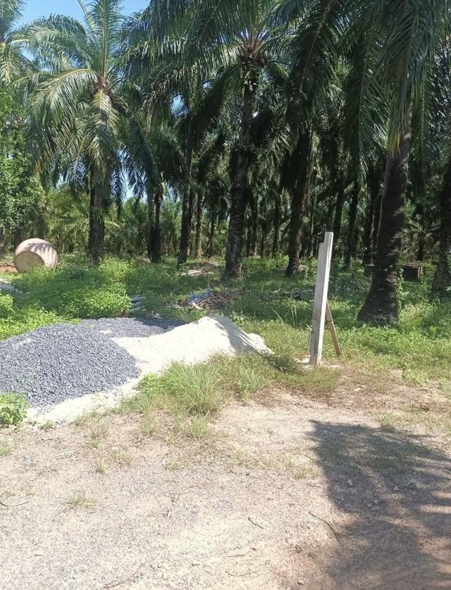 ที่ดินจังหวัดกระบี่. 4