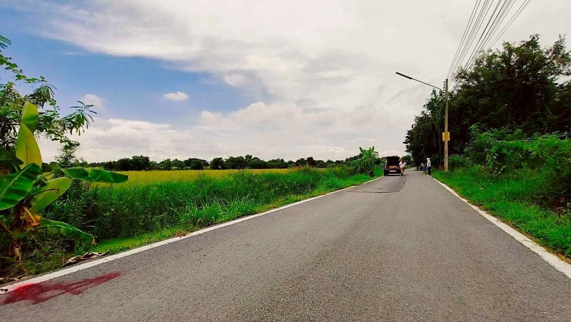 Vายถูก ที่ดินคลองหก 1 ไร่ ติดถนนลาดยางสาธารณะ ซอย คลองหกตะวันออก 86 อ.คลองหลวง จ.ปทุมธานี 7