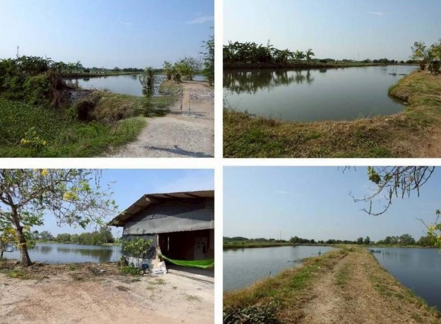 ขายที่ดิน 69 ไร่ 2 งาน 61.7 ตร.ว. อ.พานทอง ใกล้ถนนหมายเลข 3127 และ อบต.เกาะลอย 4