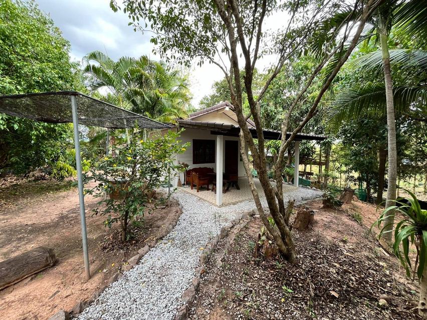 BUNGALOW FOR RENT LONG TERM - บ้านพร้อมเฟอร์นิเจอร์ให้เช่า 9