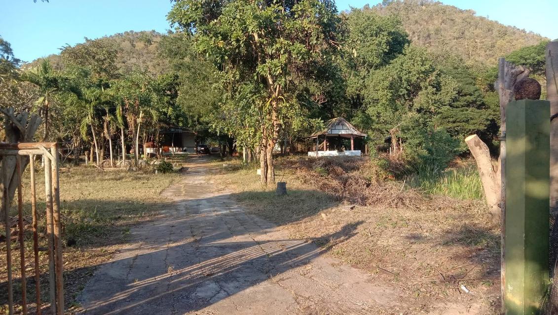 ขายบ้านพร้อมที่ดิน หลังติดเขา ต.เขาขลุง อ.บ้านโป่ง จ.ราชบุรี 14