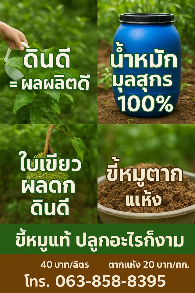 น้ำหมักมูลสุกรแท้100% 2