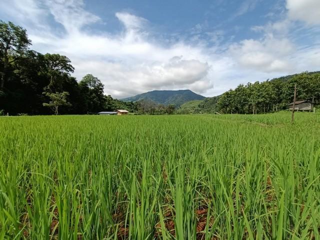 ที่ดินริมน้ำ ใกล้หมู่บ้านสะปัน รอให้คุณมาเนรมิตความฝันให้เป็นจริงสร้างธุรกิจ ในแบบที่คุณ ปรารถนา... 6