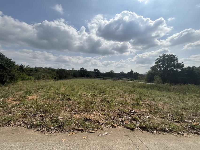 ที่ดินเปล่า ด้านหลังอำเภอ วังน้ำเขียว แบ่งขาย ได้ 5