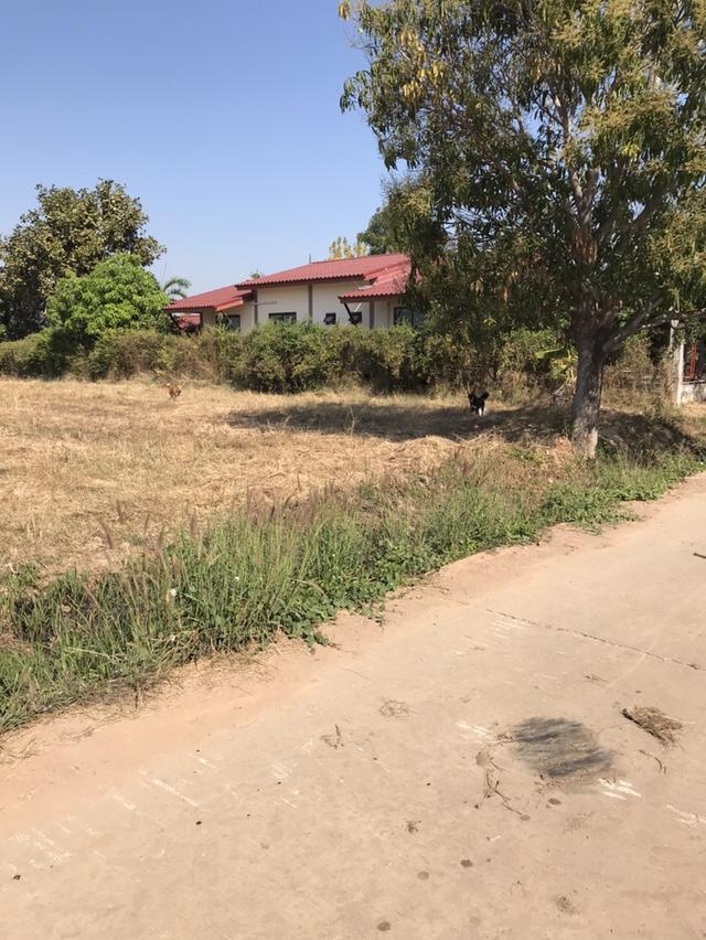 ที่ดินสวยมีโฉนดต้องการขายด่วนนน 3