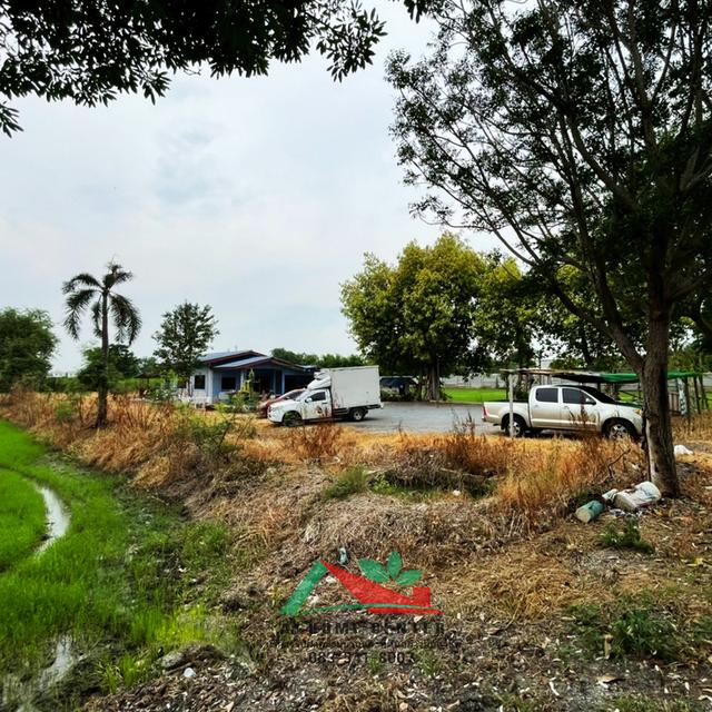 ที่ดินพร้อมบ้าน เนื้อที่2ไร่ ใกล้ซอยหาดเติมรัก วัดลาดปลาดุก  16
