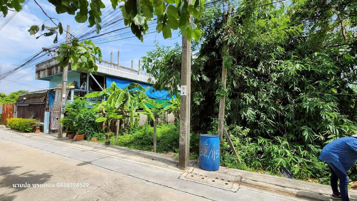 Vายที่ดินใกล้ม.ธนบุรี 96 ตารางวา ติดถนนคอนกรีต เพชรเกษม 108 แยก 7 ภาษีเจริญ กทม. 4