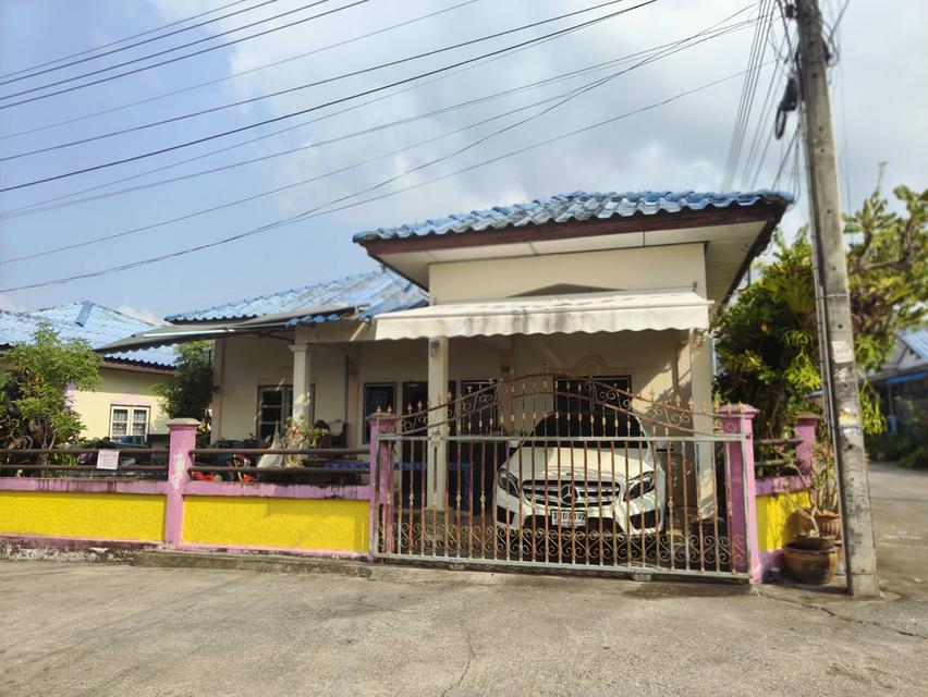 ขายบ้านเดี่ยว 52 ตรว. 2