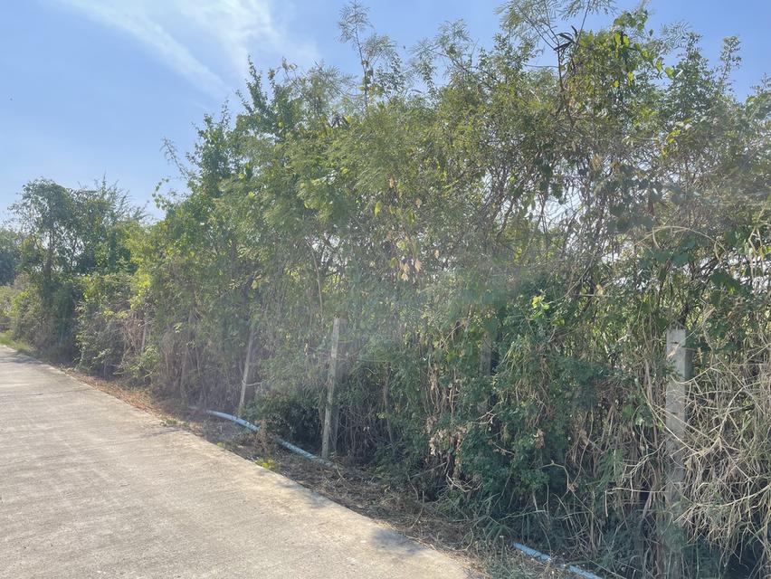 ขายที่ดิน อำเภอเมืองฉะเชิงเทรา ใกล้สถานีรถไฟ เปรง 4