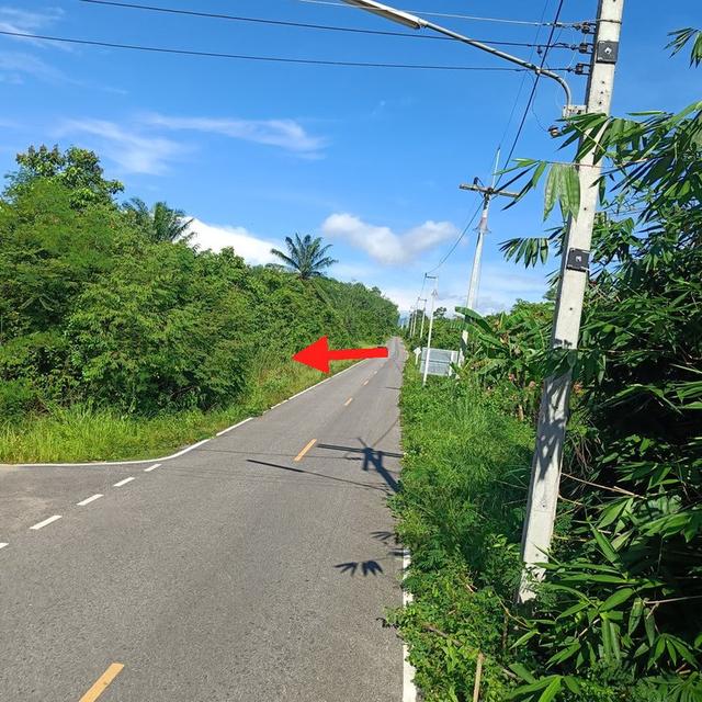 ที่ดินสวยใกล้สนามบินหาดใหญ่ติดมุมถนนสองด้านเจ้าของขายเอง 4