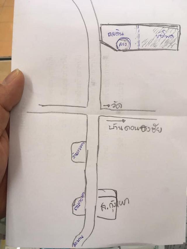 ที่ดินเปล่าที่สวยวิวสบายตา 3