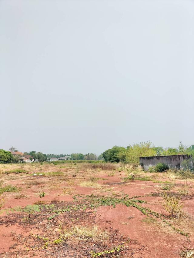 ที่ดินอุดรธานีเขตเทศบาลหนองสำโรง 2