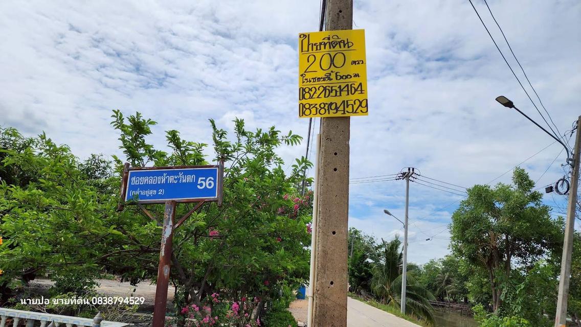 ที่ดิน 200 ตารางวา ติดถนนดิน ซอย คลองห้าตะวันตก 56 คลองหลวง ปทุมธานี 2