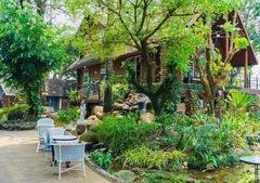 sale nice house with beautiful garden ขายบ้านไม้สวยสวนร่มรื่น สันกำแพง เชียงใหม่ 6