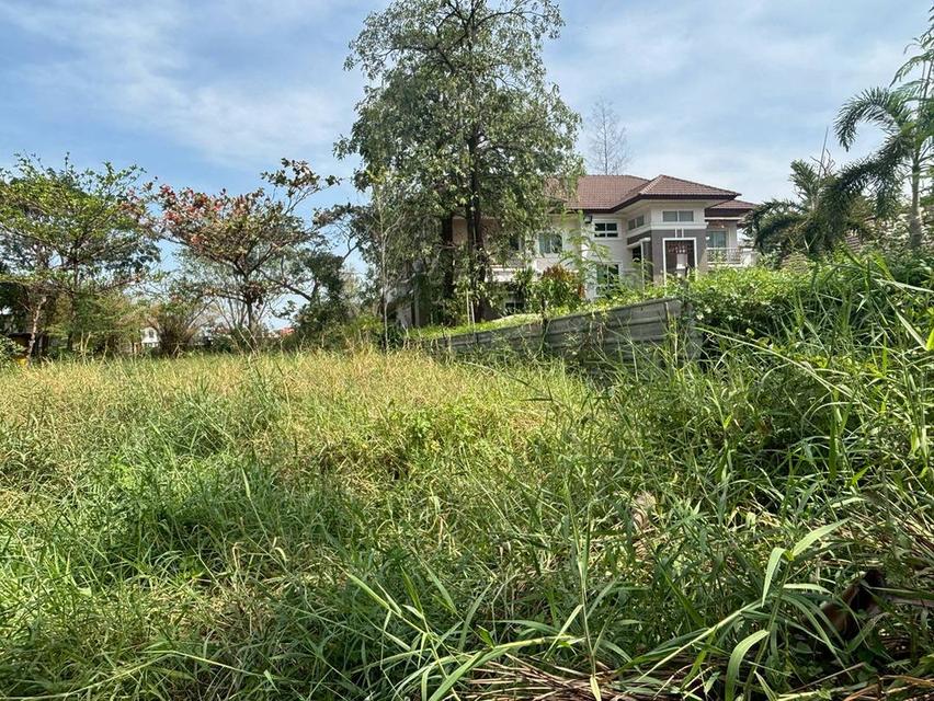 ขายที่ดินเปล่าเพื่อสร้างที่อยู่อาศัย 6