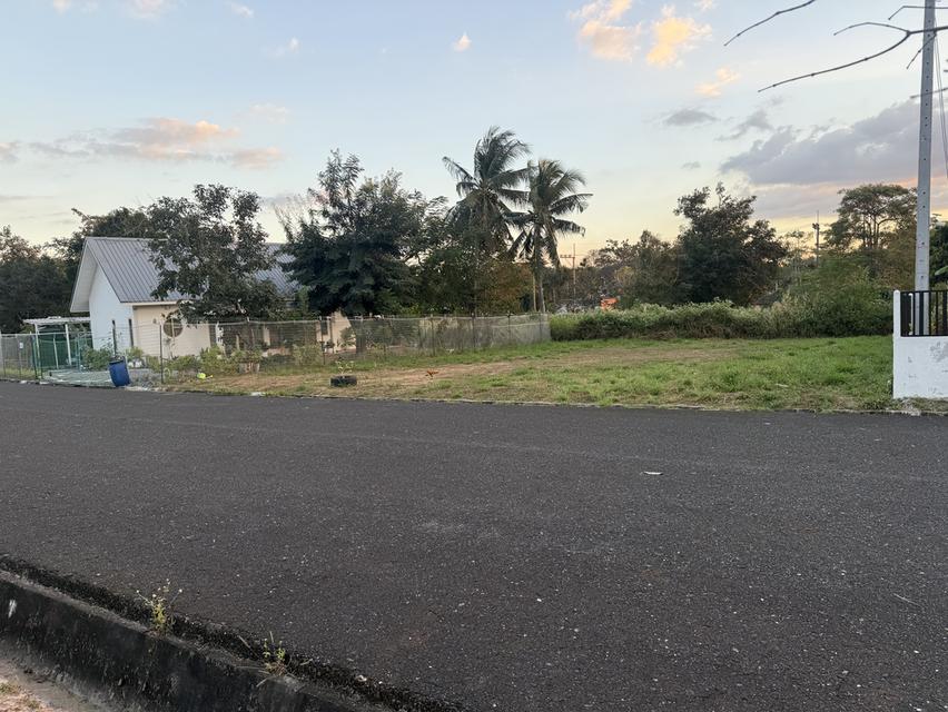 ขายที่ดินโครงการบ้านเนินน้ำ 4