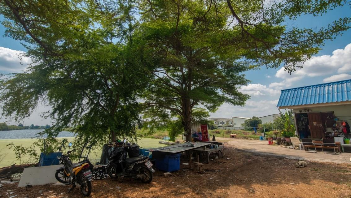 ที่ดินทำเลทอง ใกล้สนามบินสุวรรณภูมิเพียง 15 นาที ติดถนนวัดศรี จ.สมุทรปราการ 6